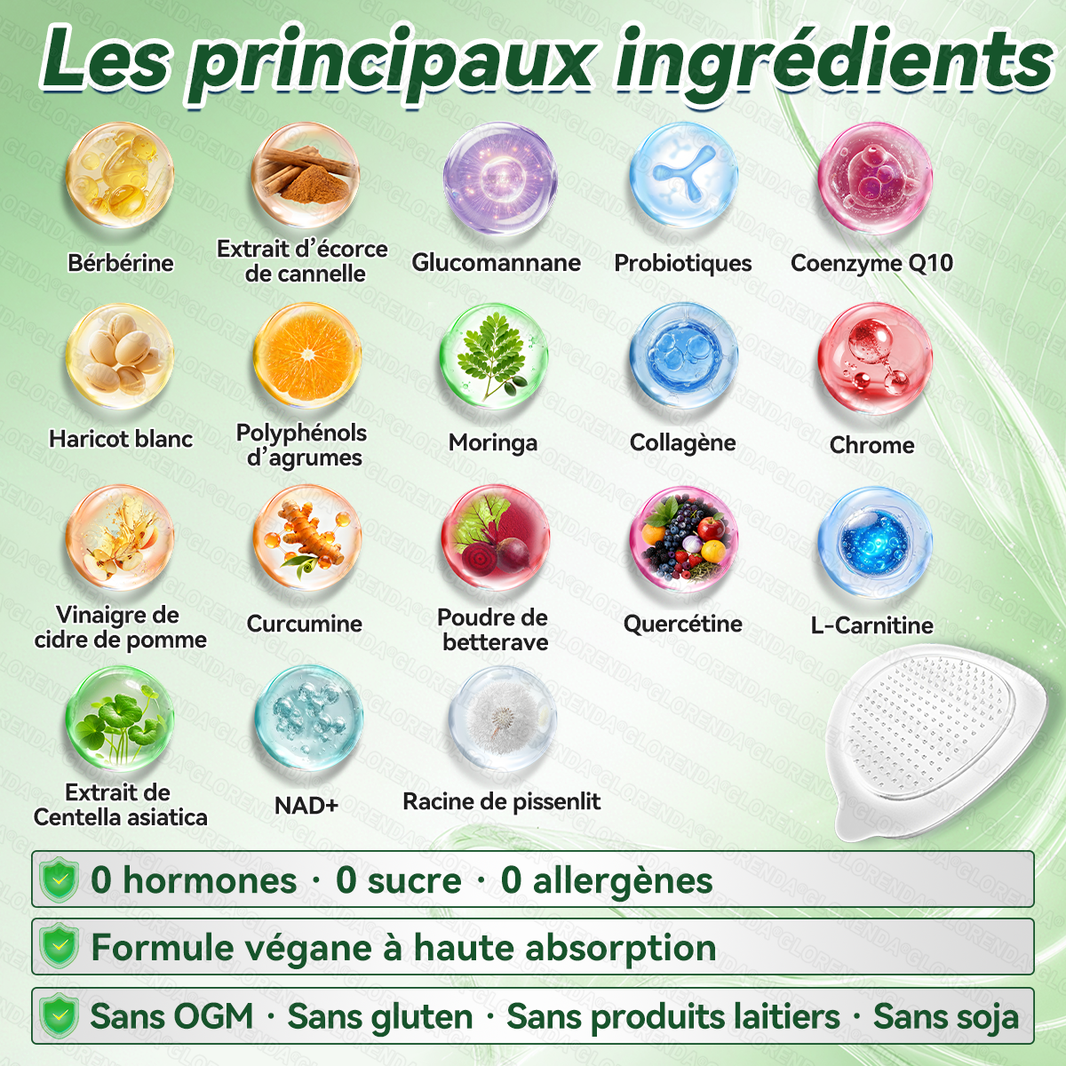 Boutique officielle 🔬🔬 𝐆𝐋𝐎𝐑𝐄𝐍𝐃𝐀® Moringa · Berbérine + NAD+ – Patch Microneedle Nano Avancé 10-en-1 (1×/jour, résultats visibles en 7 jours) | Obésité, relâchement cutané, apnée du sommeil, articulations, etc.