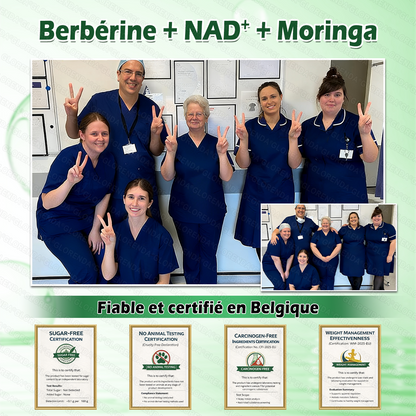 Boutique officielle 🌸🌸 𝐆𝐋𝐎𝐑𝐄𝐍𝐃𝐀® Moringa · Berbérine + NAD+ – Patch Microneedle Nano Avancé 10-en-1 (1×/jour, résultats visibles en 7 jours) | Obésité, relâchement cutané, apnée du sommeil, articulations, etc.