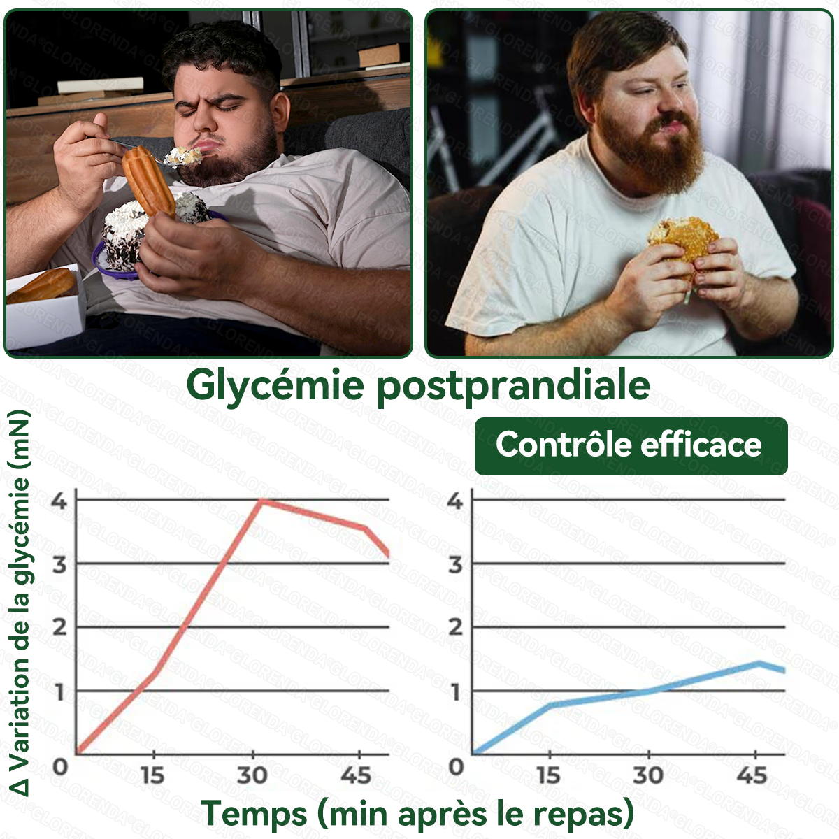 Boutique officielle 🔬🔬 𝐆𝐋𝐎𝐑𝐄𝐍𝐃𝐀® Moringa · Berbérine + NAD+ – Patch Microneedle Nano Avancé 10-en-1 (1×/jour, résultats visibles en 7 jours) | Obésité, relâchement cutané, apnée du sommeil, articulations, etc.
